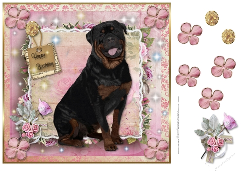 Happy Birthday Rottweiller