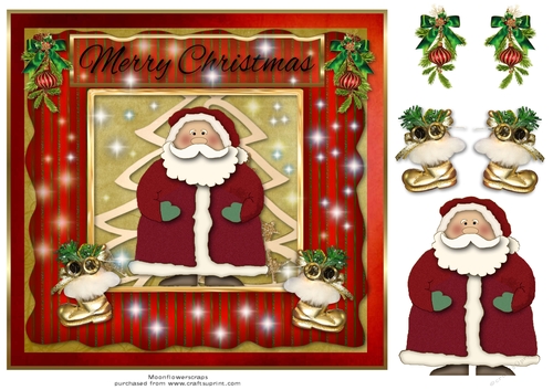 Merry Christmas Santa 