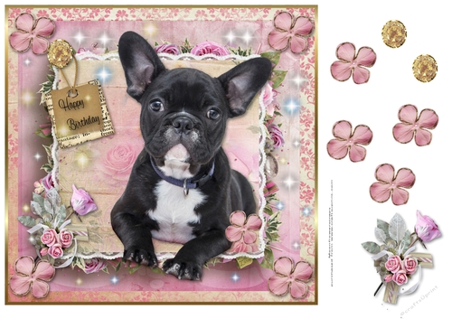 Happy Birthday French Bulldog 