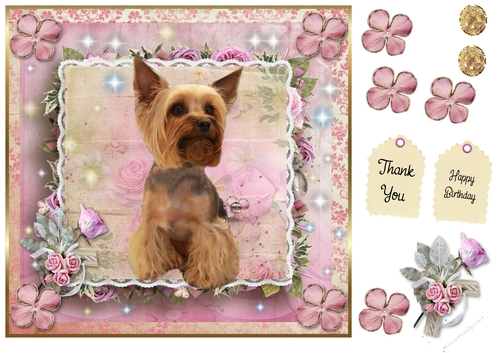 Happy Birthday Yorkshire Terrier 