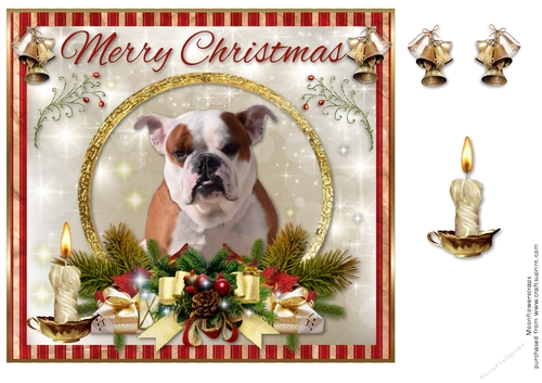 Merry Christmas Bull Dog 