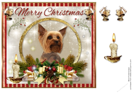 Merry Christmas Yorkshire Terrier 