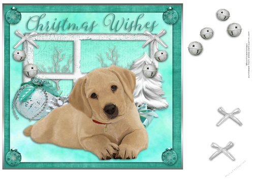 Golden labrador Christmas pup 