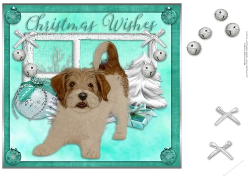 Cute cross breed Christmas pup 