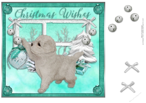 Bichon Frise Christmas pup 