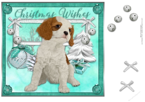 cavalier king charles spaniel Christmas pup 2