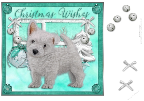 West Highland White Terrier Christmas pup 