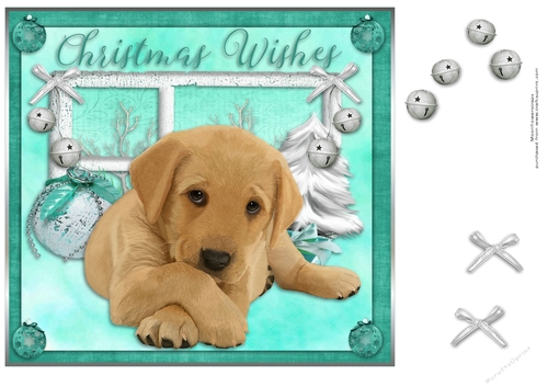golden labrador laying down  Christmas pup 