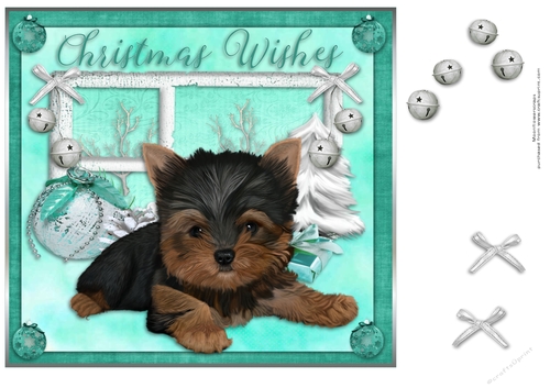 Yorkshire Terrier   Christmas pup 
