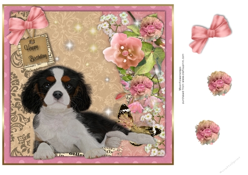 Cavalier King Charles Birthday pup 