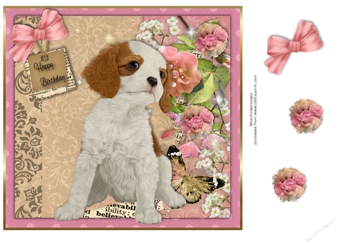 Cavalier King Charles Spaniel Birthday pup 
