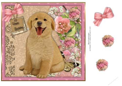 Golden Retriever Birthday pup 