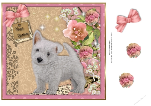 West Highland White Terrier Birthday pup 