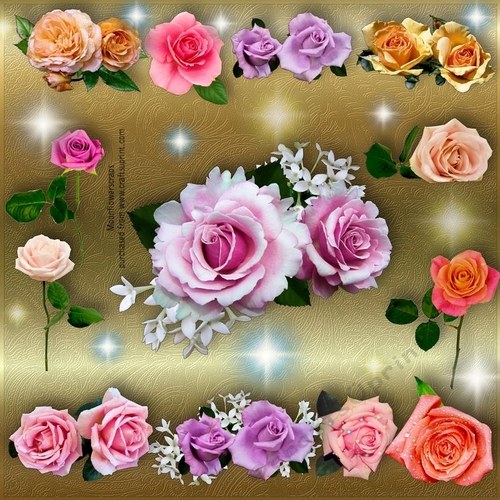 Mixed Roses bundle