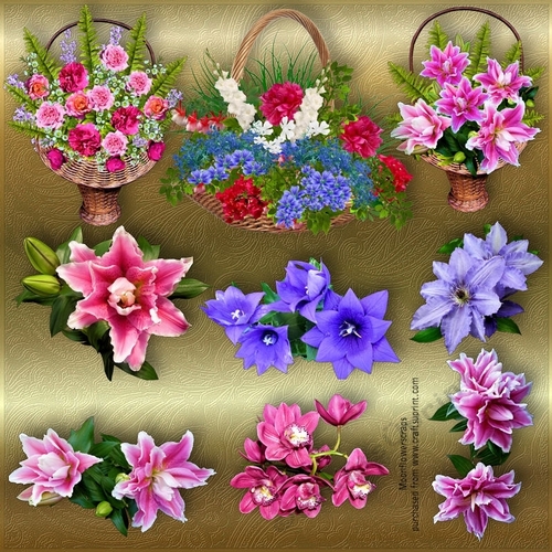 Mixed Flowers bundle