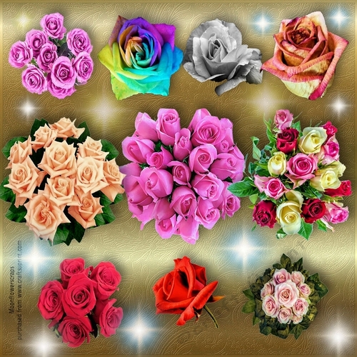 Rose mix