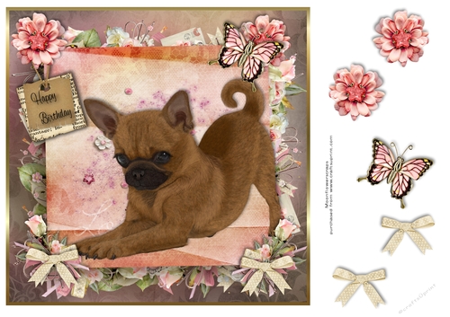 Happy Birthday chihuahua cross pug