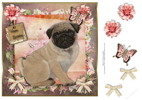 Happy Birthday Pug