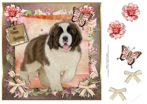 Happy Birthday St Bernard 