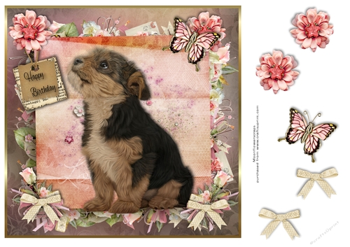 Happy Birthday Yorkie cross