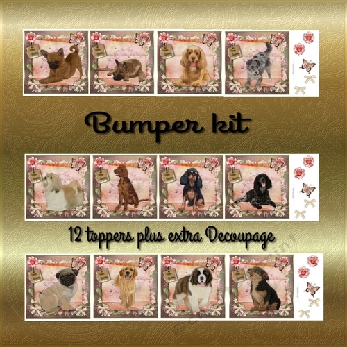 Happy Birthday Bumper dog A4 toppers