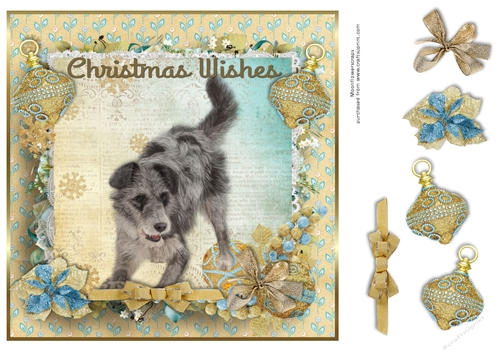 Christmas Wishes Cross breed 
