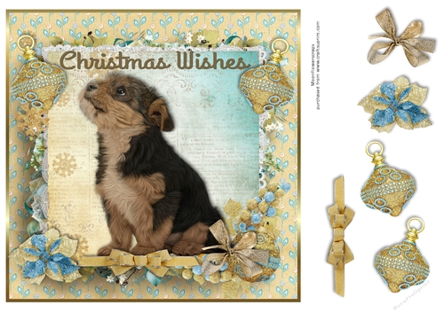 Christmas Wishes Yorkie cross