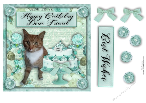 Happy Birthday  cat