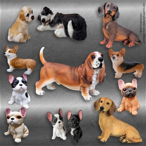 Designer stash dog mix 1
