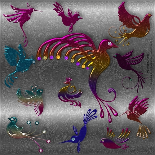 Paradise Birds