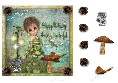 7x7 Wonderful fairy garden Birthday 
