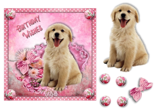 7x7 Birthday puppy 