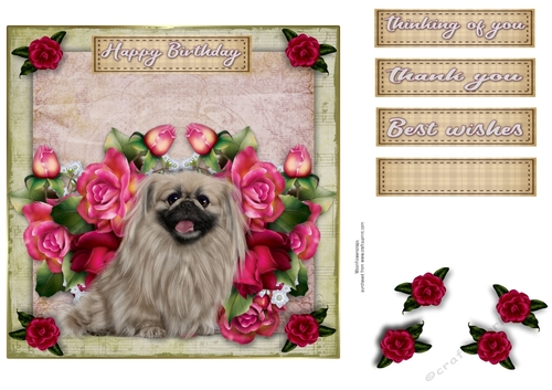 7x7 Pekingese Wishes