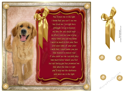 8x8 Pet loss Retriever 