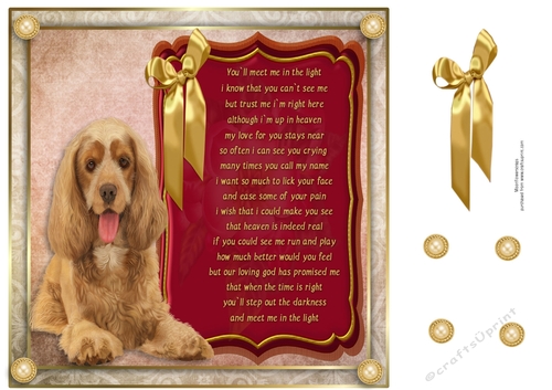 8x8 Pet loss Cocker spaniel 