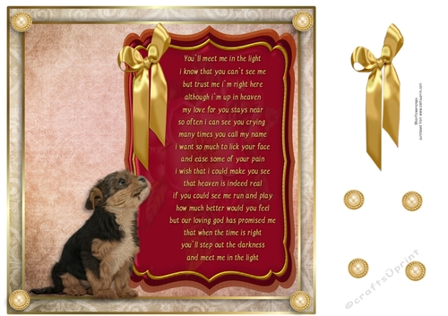 8x8 Pet loss Cross breed pup 