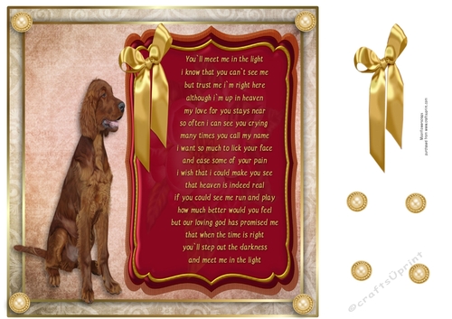 8x8 Pet loss Irish Setter 