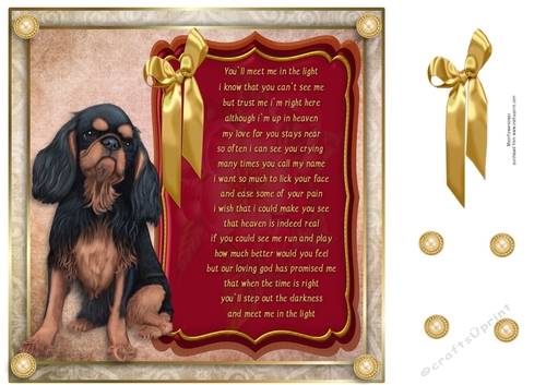 8x8 Pet loss King charles Spaniel 