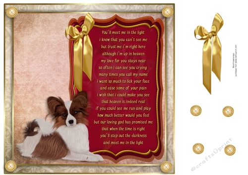 8x8 Pet loss Papillon
