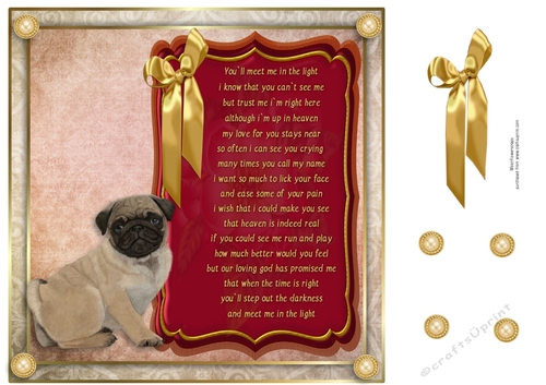 8x8 Pet loss Pug