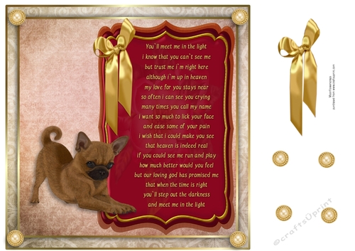 8x8 Pet loss chihuahua/Pug cross