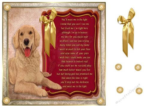 8x8 Pet loss Golden Retriever