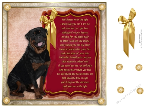 8x8 Pet loss Rottweiler