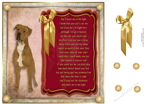 8x8 Pet loss Staffie