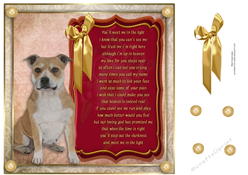 8x8 Pet loss Staffie