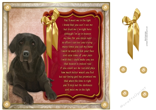 8x8 Pet loss Chocolate Labrador 