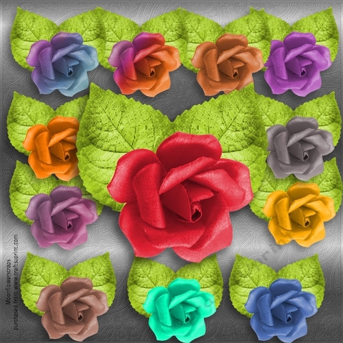 Roses