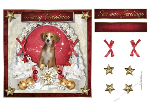 Merry Christmas Dog 7