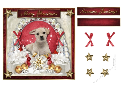 Merry Christmas Dog 8