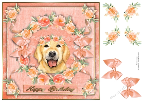 Peach Party Pup 2
